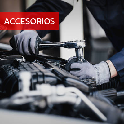 Servicios